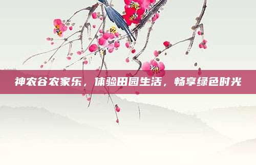 神农谷农家乐，体验田园生活，畅享绿色时光