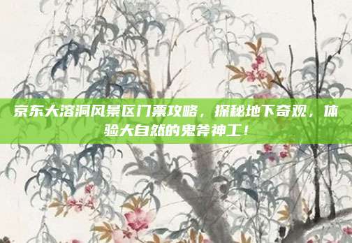 京东大溶洞风景区门票攻略，探秘地下奇观，体验大自然的鬼斧神工！