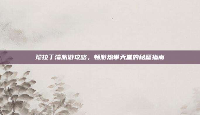 珍拉丁湾旅游攻略，畅游热带天堂的秘籍指南