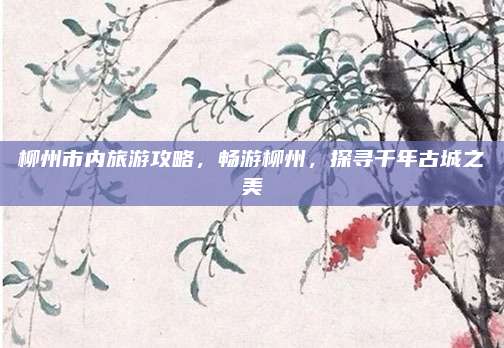 柳州市内旅游攻略，畅游柳州，探寻千年古城之美