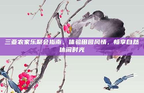 三亚农家乐聚会指南,体验田园风情,畅享自然休闲时光