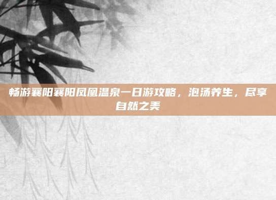 畅游襄阳襄阳凤凰温泉一日游攻略，泡汤养生，尽享自然之美