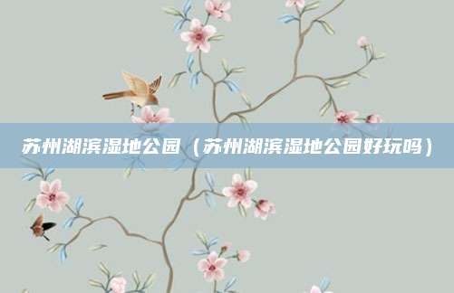 苏州湖滨湿地公园（苏州湖滨湿地公园好玩吗）
