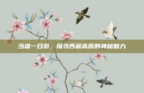 当雄一日游，探寻西藏高原的神秘魅力