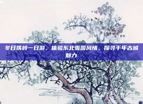 冬日铁岭一日游，体验东北雪国风情，探寻千年古城魅力