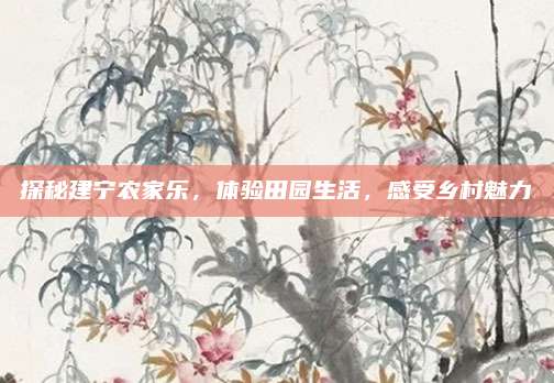 探秘建宁农家乐，体验田园生活，感受乡村魅力