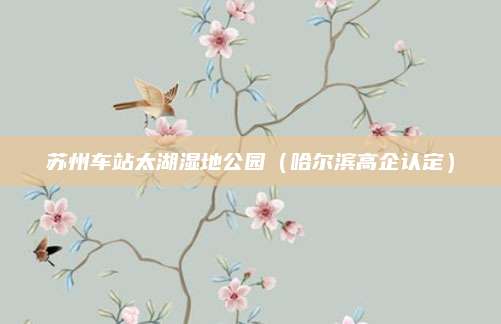 苏州车站太湖湿地公园（哈尔滨高企认定）