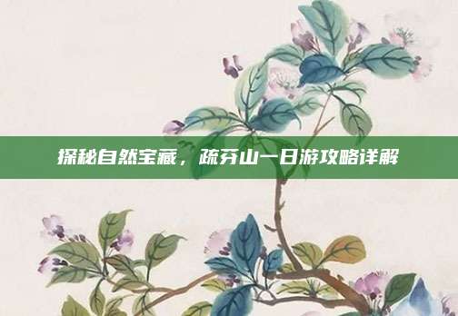 探秘自然宝藏，疏芬山一日游攻略详解
