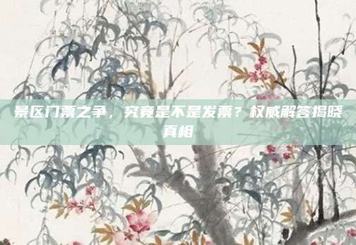 景区门票之争，究竟是不是发票？权威解答揭晓真相