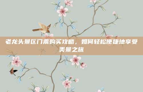 老龙头景区门票购买攻略，如何轻松便捷地享受美景之旅
