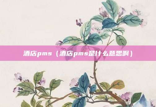 酒店pms(酒店pms是什么意思啊)