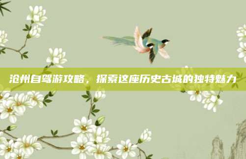 沧州自驾游攻略，探索这座历史古城的独特魅力