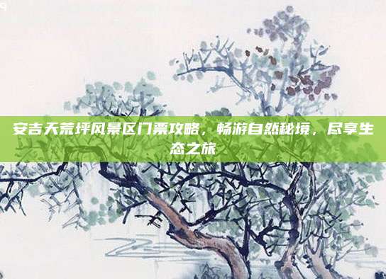 安吉天荒坪风景区门票攻略，畅游自然秘境，尽享生态之旅