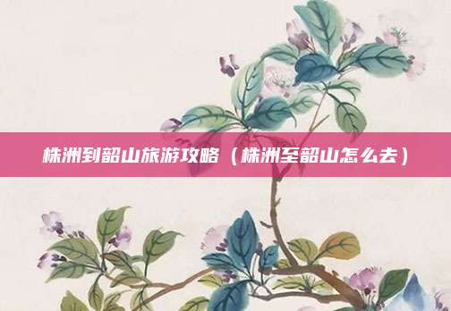 株洲到韶山旅游攻略（株洲至韶山怎么去）