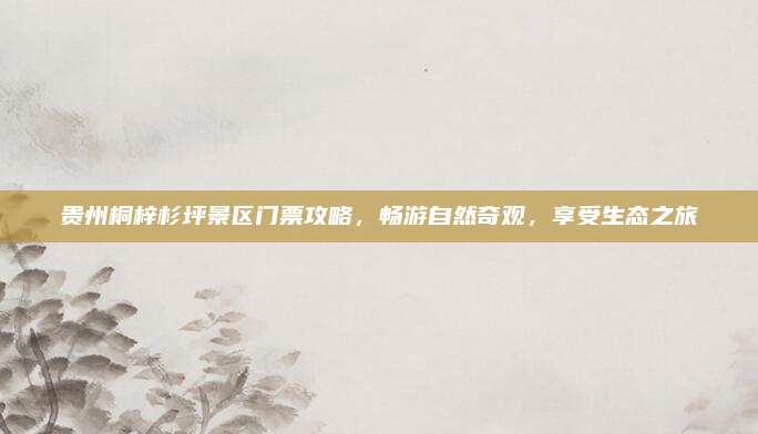 贵州桐梓杉坪景区门票攻略，畅游自然奇观，享受生态之旅