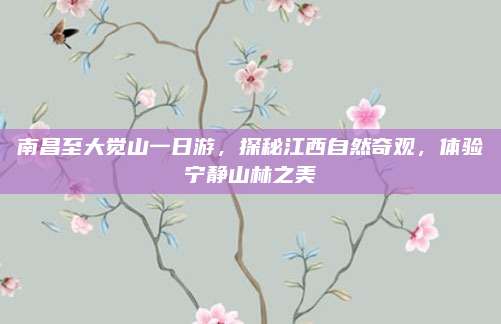 南昌至大觉山一日游，探秘江西自然奇观，体验宁静山林之美