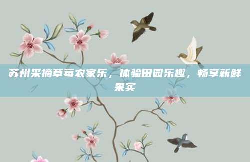 苏州采摘草莓农家乐,体验田园乐趣,畅享新鲜果实