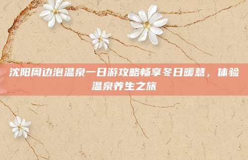沈阳周边泡温泉一日游攻略畅享冬日暖意，体验温泉养生之旅