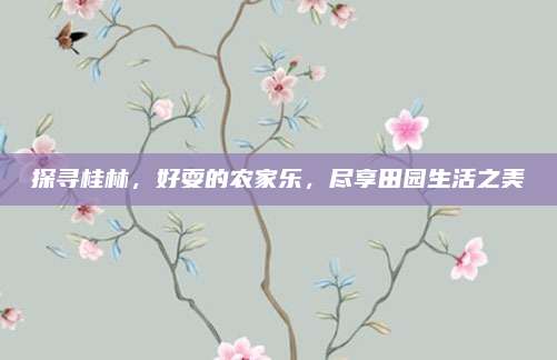 探寻桂林,好耍的农家乐,尽享田园生活之美