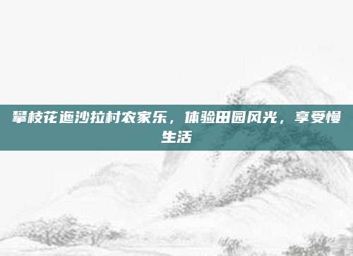攀枝花迤沙拉村农家乐，体验田园风光，享受慢生活