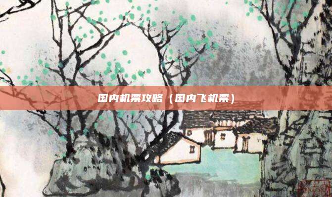 国内机票攻略（国内飞机票）