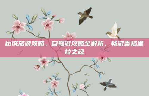 稻城旅游攻略，自驾游攻略全解析，畅游香格里拉之魂