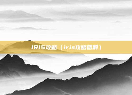 IRIS攻略(iris攻略图解)