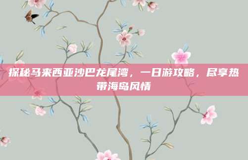 探秘马来西亚沙巴龙尾湾，一日游攻略，尽享热带海岛风情