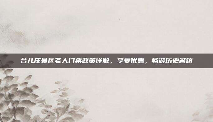 台儿庄景区老人门票政策详解，享受优惠，畅游历史名镇