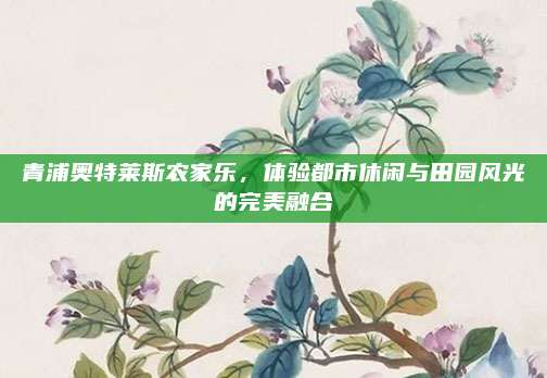 青浦奥特莱斯农家乐，体验都市休闲与田园风光的完美融合