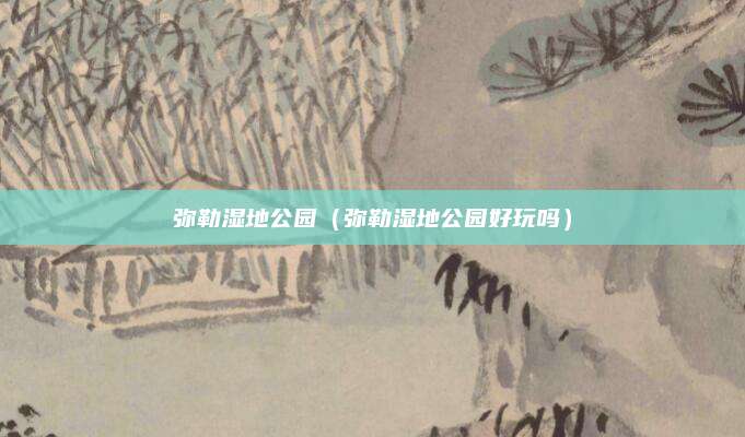 弥勒湿地公园（弥勒湿地公园好玩吗）
