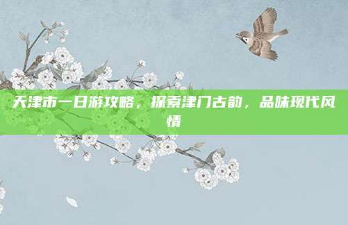 天津市一日游攻略，探索津门古韵，品味现代风情