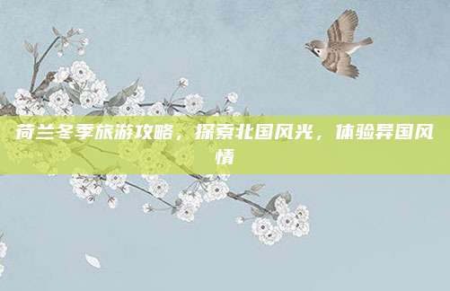 荷兰冬季旅游攻略，探索北国风光，体验异国风情