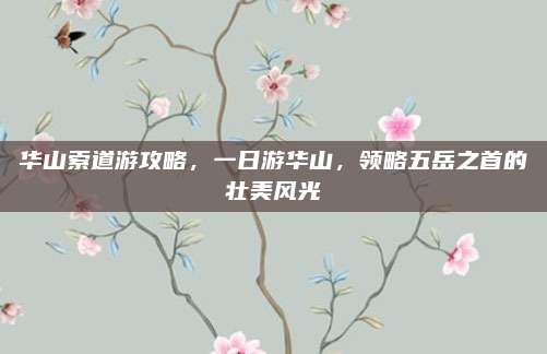 华山索道游攻略,一日游华山,领略五岳之首的壮美风光