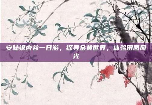 安陆银杏谷一日游，探寻金黄世界，体验田园风光