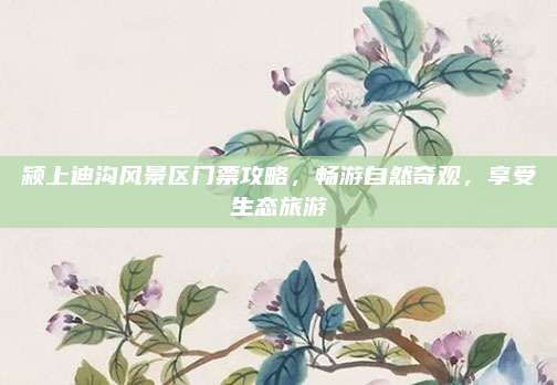 颍上迪沟风景区门票攻略，畅游自然奇观，享受生态旅游