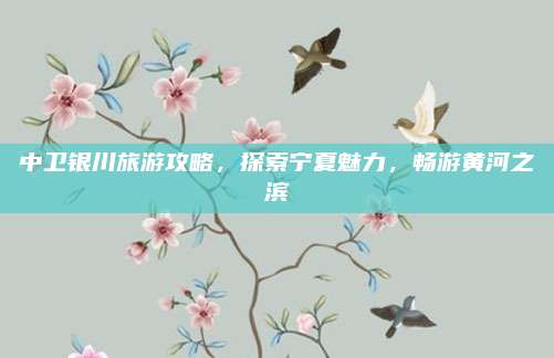 中卫银川旅游攻略,探索宁夏魅力,畅游黄河之滨