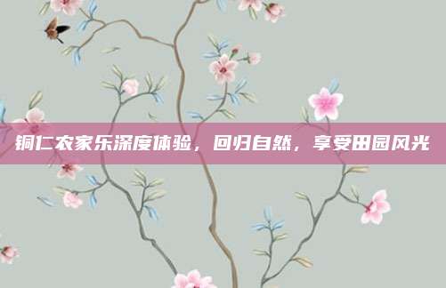铜仁农家乐深度体验，回归自然，享受田园风光