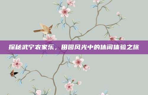 探秘武宁农家乐，田园风光中的休闲体验之旅
