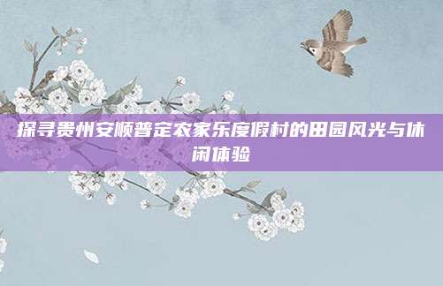 探寻贵州安顺普定农家乐度假村的田园风光与休闲体验