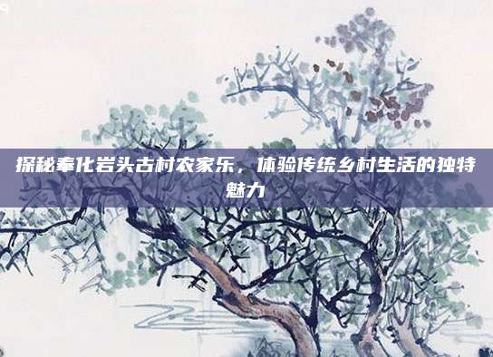 探秘奉化岩头古村农家乐，体验传统乡村生活的独特魅力
