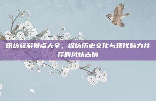 阳坊旅游景点大全，探访历史文化与现代魅力并存的风情古镇