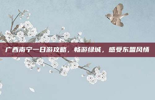 广西南宁一日游攻略，畅游绿城，感受东盟风情