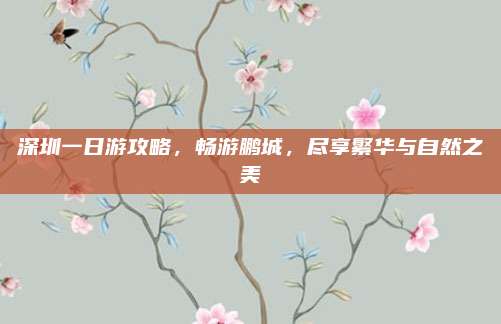 深圳一日游攻略，畅游鹏城，尽享繁华与自然之美