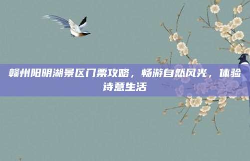 赣州阳明湖景区门票攻略，畅游自然风光，体验诗意生活