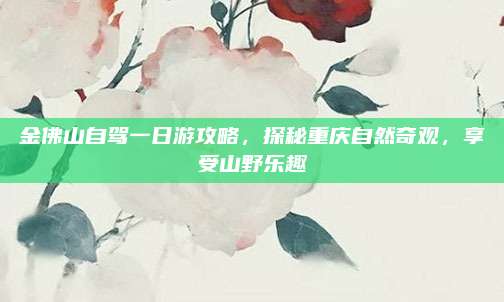 金佛山自驾一日游攻略，探秘重庆自然奇观，享受山野乐趣