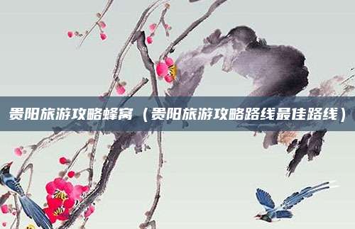 贵阳旅游攻略蜂窝（贵阳旅游攻略路线最佳路线）