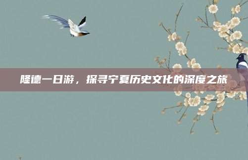 隆德一日游，探寻宁夏历史文化的深度之旅