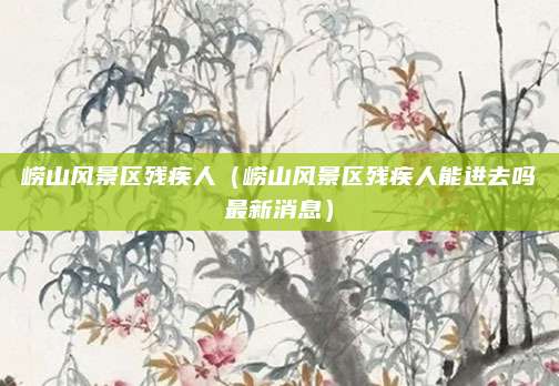 崂山风景区残疾人(崂山风景区残疾人能进去吗最新消息)