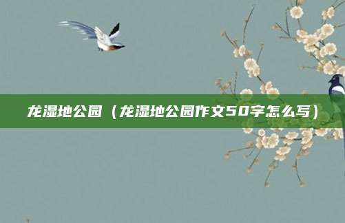 龙湿地公园(龙湿地公园作文50字怎么写)